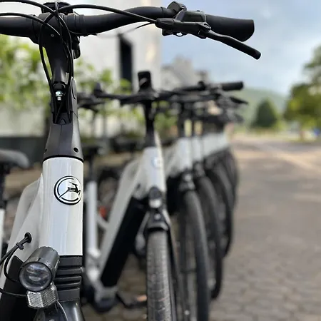 Moseltel Ernst,cochem 4*