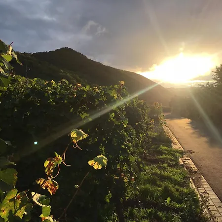 Moseltel Ernst/cochem Pensjonat 4*