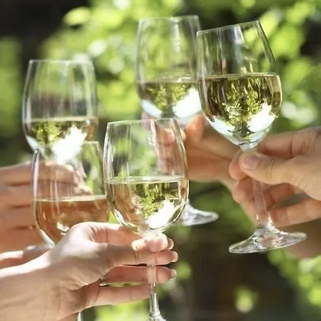 Moseltel Ernst,cochem 4* 恩斯特