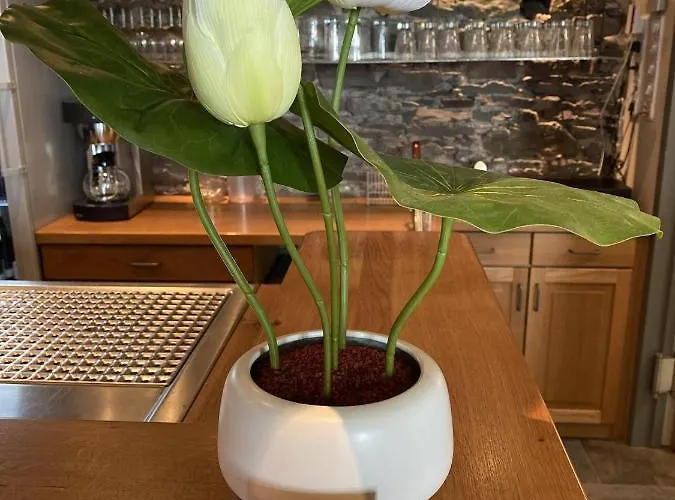 Moseltel Ernst/cochem Pensionat