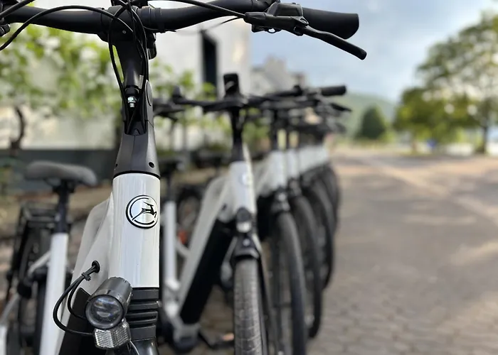 Moseltel Ernst/cochem 4*