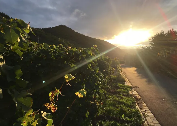 Moseltel Ernst/cochem 게스트하우스 4*