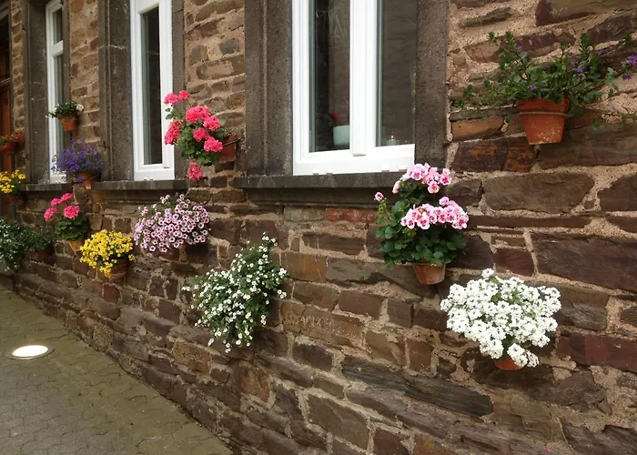 게스트하우스 Moseltel Ernst/cochem 에른스트