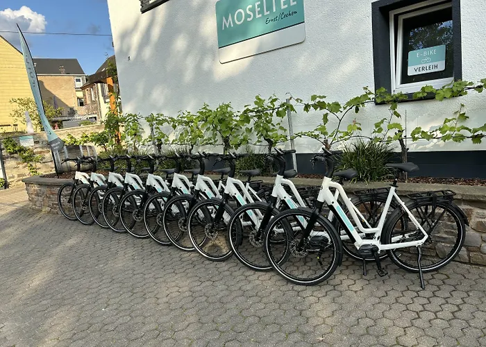 招待所 Moseltel Ernst/cochem
