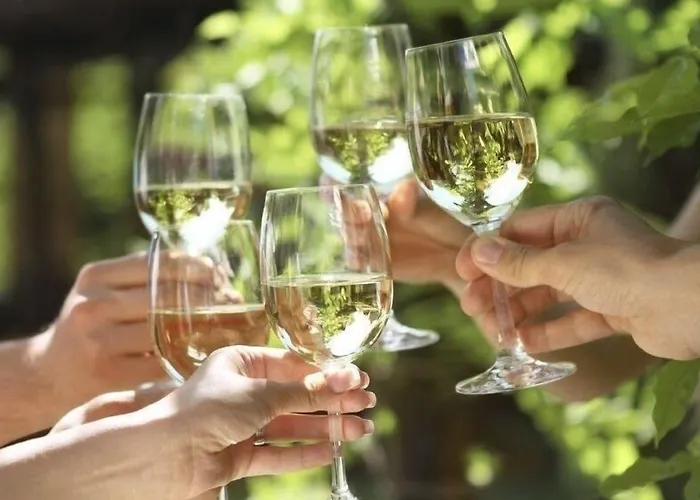 Moseltel Ernst/cochem 4* 에른스트